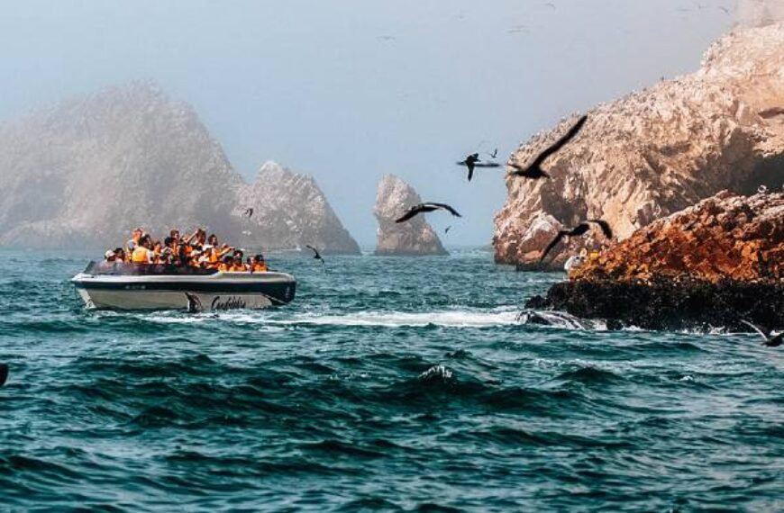 lugares turisticos de paracas